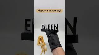 Happy Anniversary To Andy And Eileen  shorts