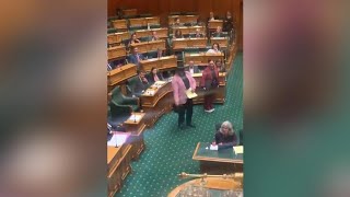 NZ下院議員、ハカを踊って退場　「差別発言」に抗議