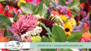 Candy Lane Floral & Gifts | Flowers in Macomb