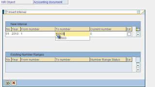 SAP FICO VIDEO TRAINING TUTORIALS 0014 DEFINE DOCUMENT TYPES AND DOCUMENT NUMBER RANGES - BAYISETTI