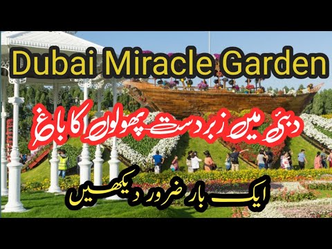 Dubai Miracle Garden: World's Largest Flower Garden! |22#yt