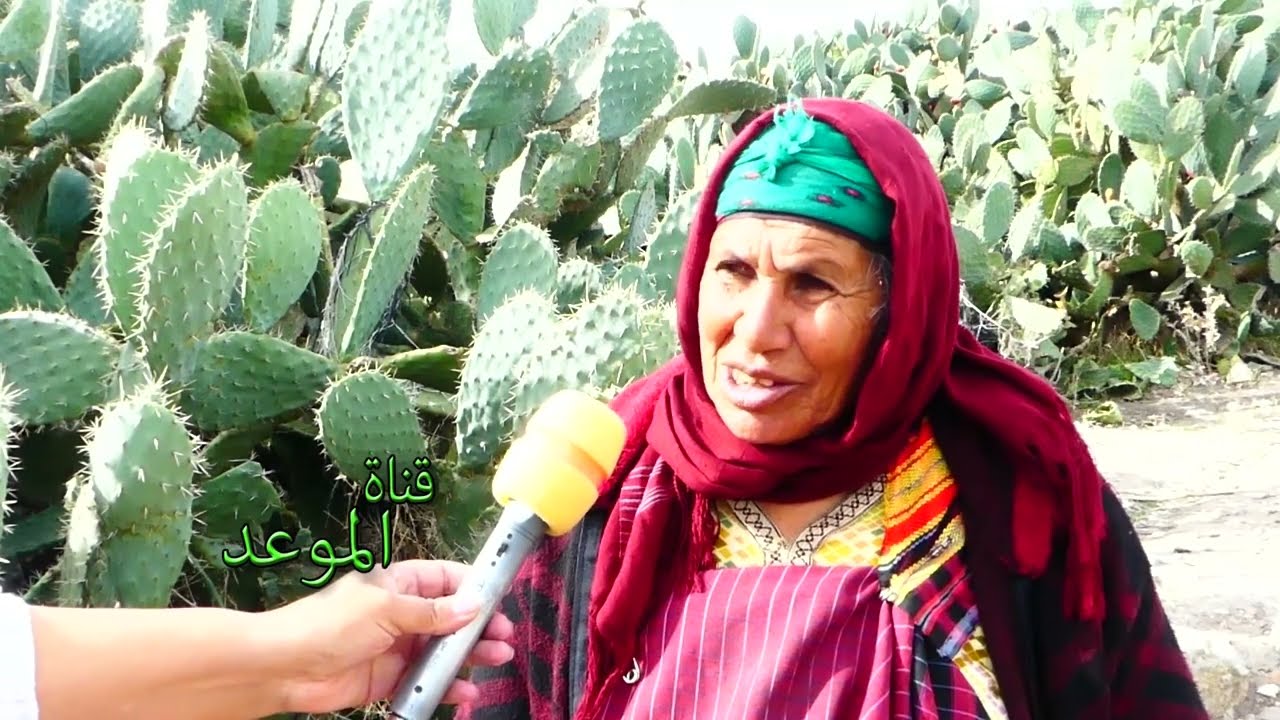 بسبب البحث عن الكنوز خرجوني من دار ودخلوني لسجن ، توى نعيش في دار أختي وتحب تخرجني منها