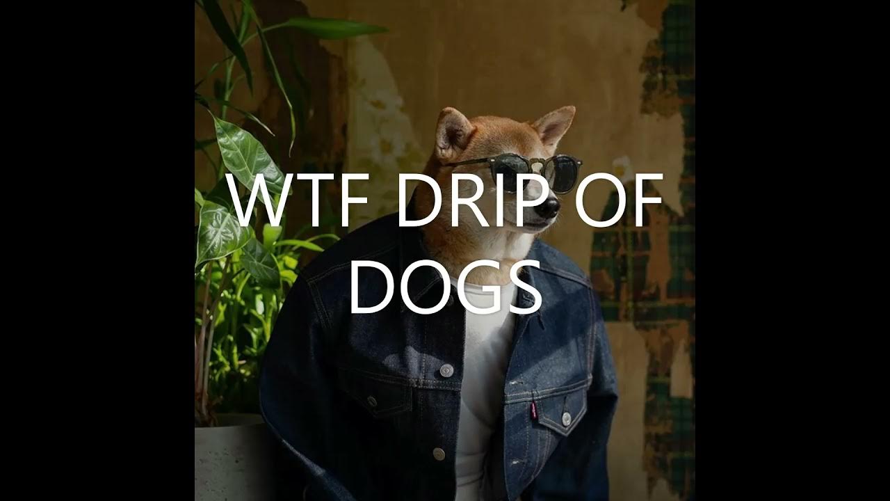 Dog drip Wtf YouTube