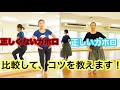【フラのカホロステップ】比較して、違いを見てみよう！
