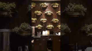 Swagath Chandigarh #chandigarh #familydining #chandigarhcity #ambience #familydining