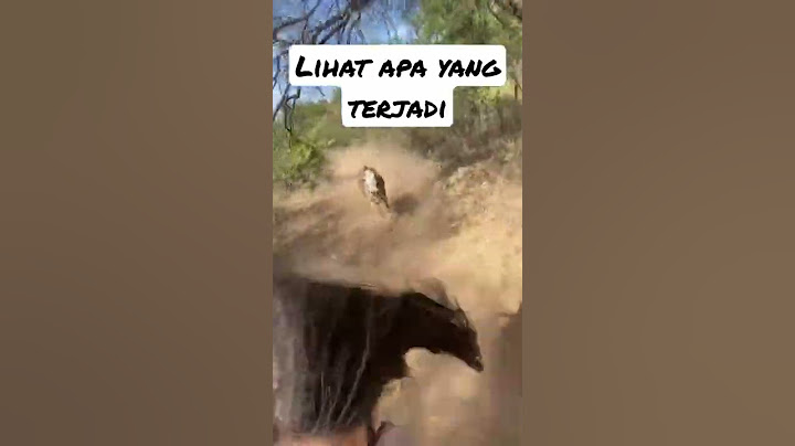 Dikejar Kuda sampai.......