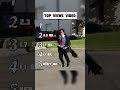 🔥 TOP 5 Videos on TikTok ✅