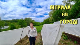 ВЛОГ: ВІТРИЛА на городі. Самий ЕФЕКТИВНИЙ спрей від комарів. Як його зробити. Лайфхак.