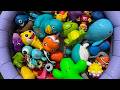 Ocean Animals for Kids | Learn Sea Creature Names, Sounds, and Facts with Toy Animals