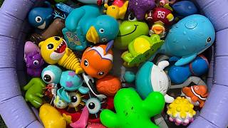 Ocean Animals for Kids | Learn Sea Creature Names, Sounds, and Facts with Toy Animals