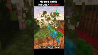 Minecraft When I Need A Dog House...🤯 (World's Smallest Violin) #minecraft #shorts
