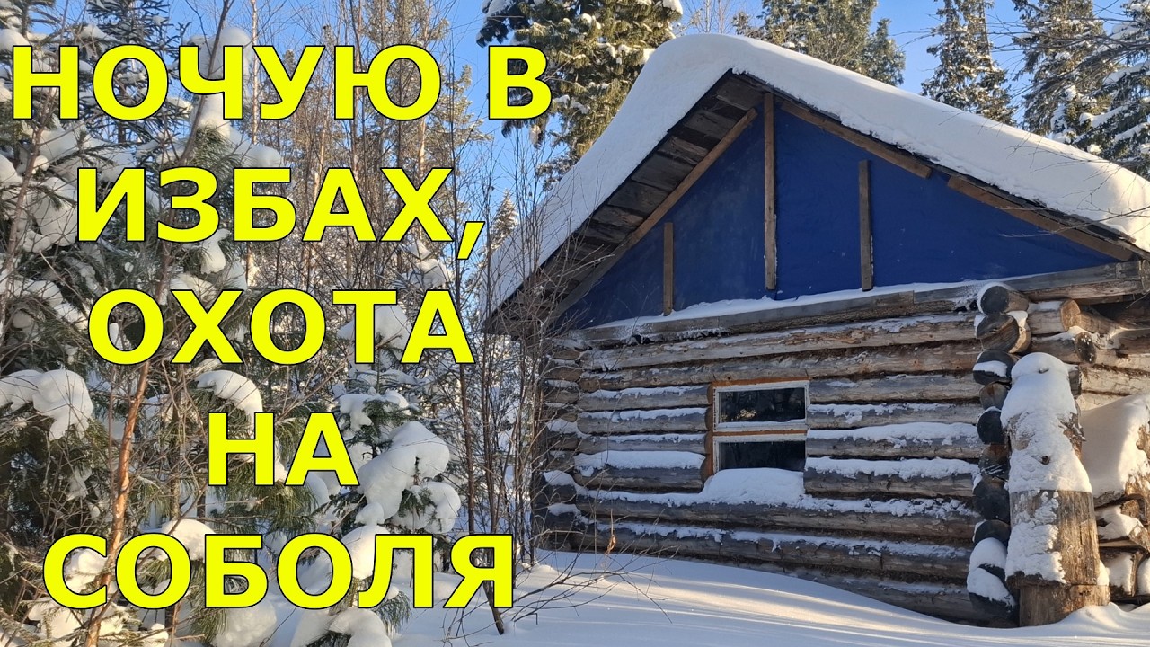 Ночую в избах, охота на соболя, проверка путика, первый соболь
