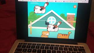 Hi this is my cat stacker from I ready