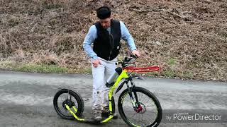 Crussis Cross als E-Dogscooter