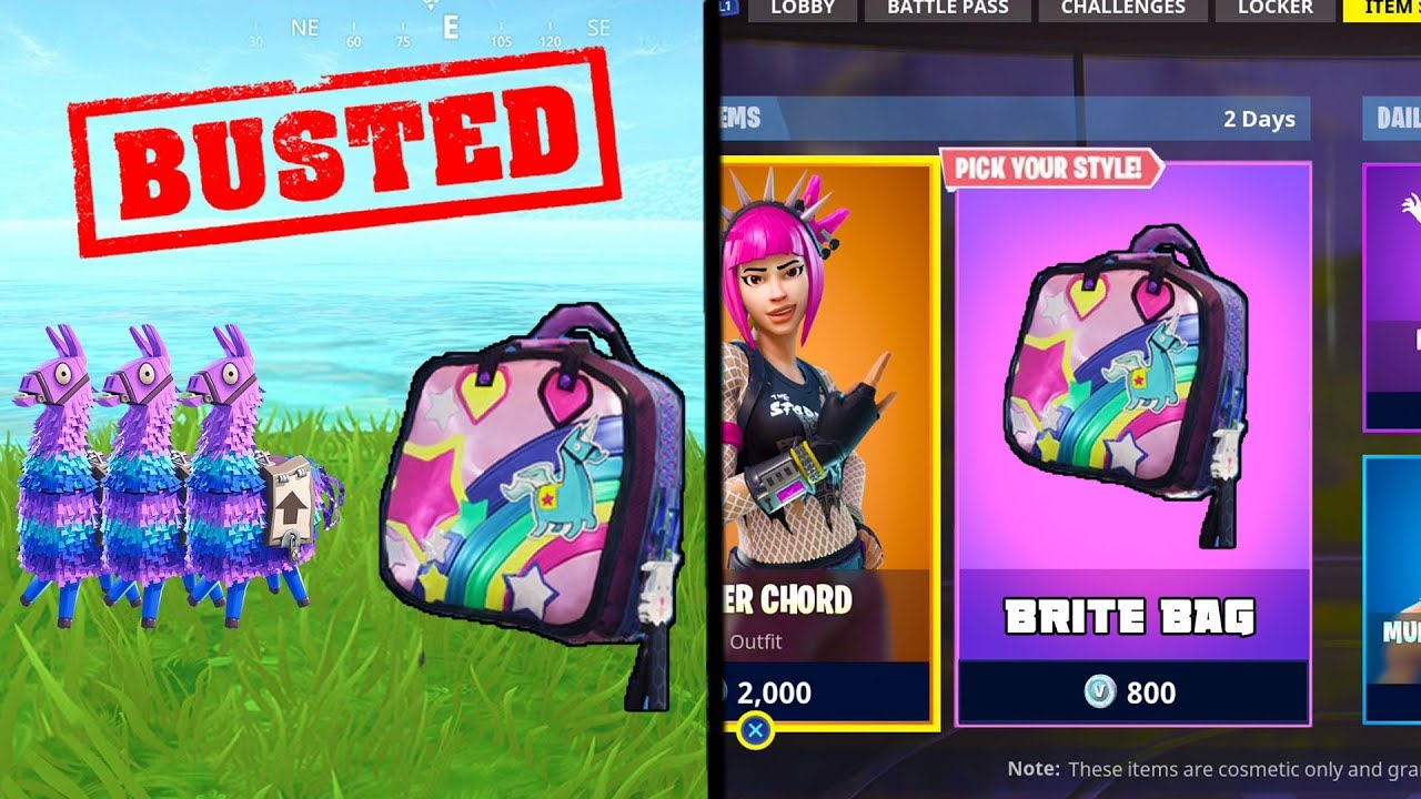 The Legit Way on How To UNLOCK 'Brite Bag' in FORTNITE... (Fortnite Mythbusters)