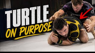 How I Weaponized Turtle Against Bigger Grapplers
