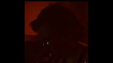 THE VOYAGE WAS FINE by CSC - Official music video