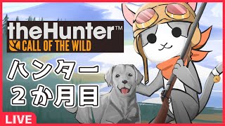 【thehunter:COTW】#47 狼さん狼さん('ω')【Vtuber】