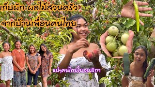 Vlog เที่ยวบ้านเพื่อนคนไทย| เก็บผักผลไม้รอบบ้าน| ปาร์ตี้อาหารไทย