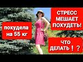 -55 кг! НЕ ХУДЕЮ из-за Нервов! Как Победить Стресс и Похудеть! мария мироневич похудение