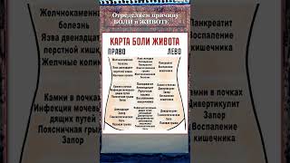 определяем причину БОЛИ в ЖИВОТЕ #здоровье
