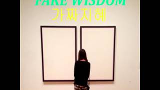Watch High Sunn Fake Wisdom video