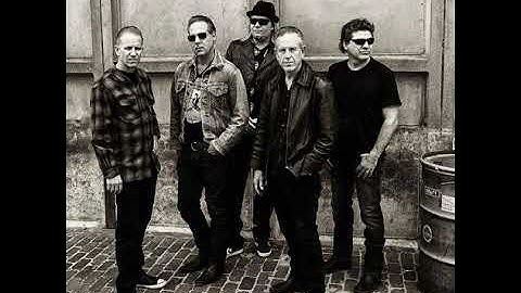 The Red Devils - I Wish You Would (live)