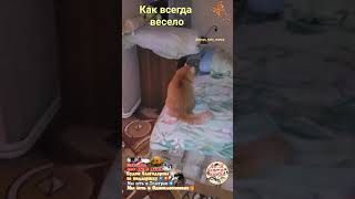 Как всегда весело. As always, fun.