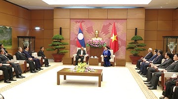 Chủ tịch Quốc hội Nguyễn Thị Kim Ngân hội kiến với Tổng Bí thư, Chủ tịch nước CHDCND Lào