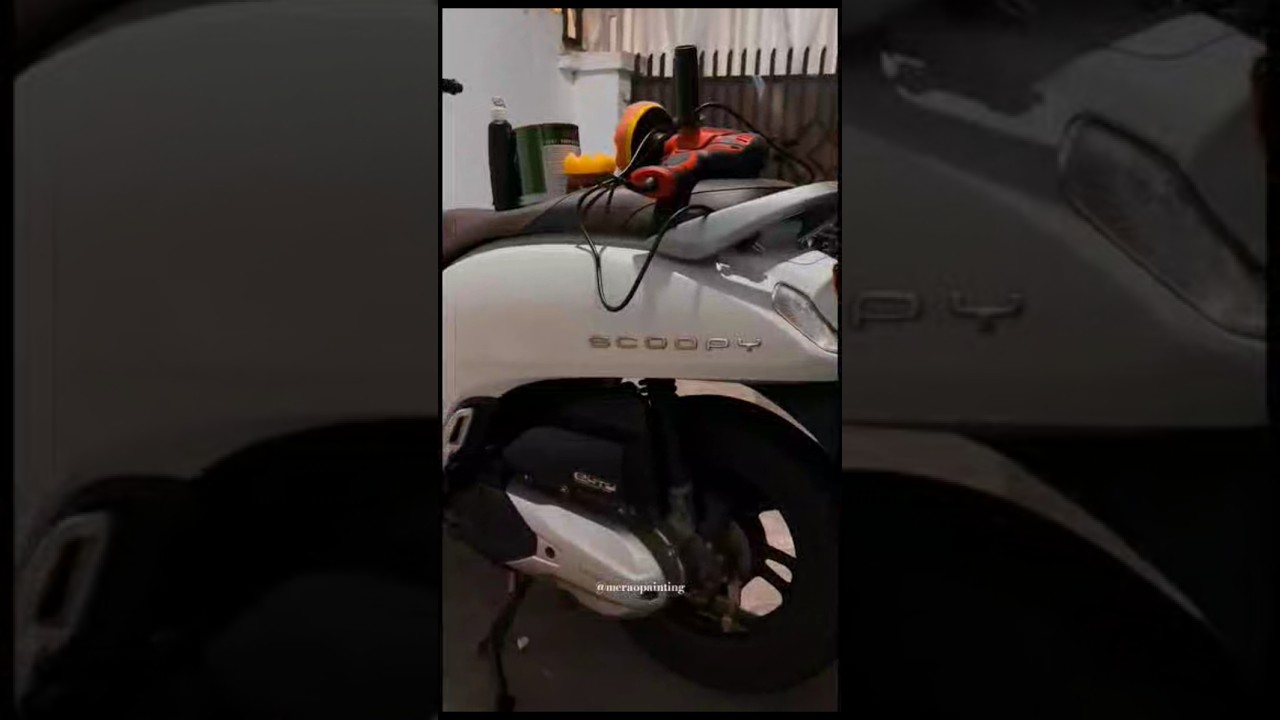 POV poles full body scoopy prestige 