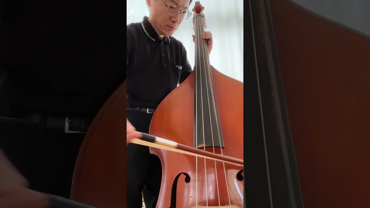 Puff, The Magic Dragon in C contrabass
