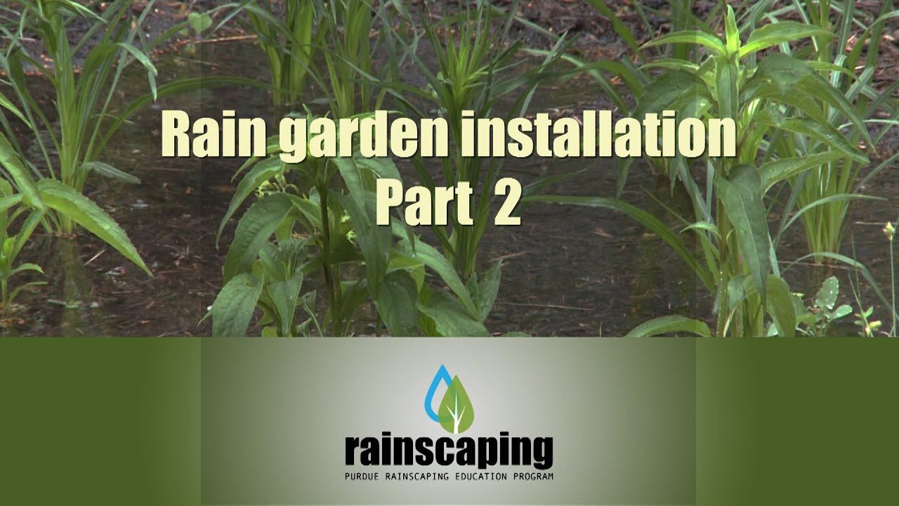 Rain Garden Info - HAMILTON COUNTY SOIL AND WATER CONSERVATION DISTRICT, image size:1280x720