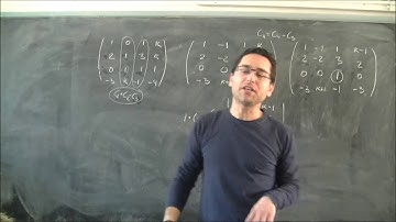 Determinantes. Estudio del rango de una matriz 4x4 dependiendo de un parámetro 02