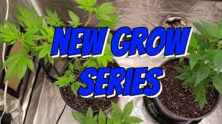 Beginners guide from a beginner (new series)