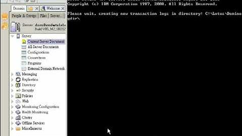 Lotus Notes Domino 8.5 DAOS demo