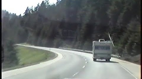 Paluma Sound - Real Flow