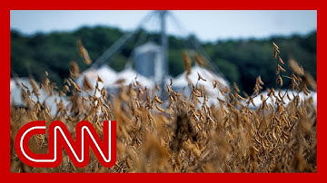 Soybean farmer on Trump