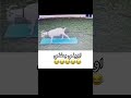 اويلي بطني 😂😂