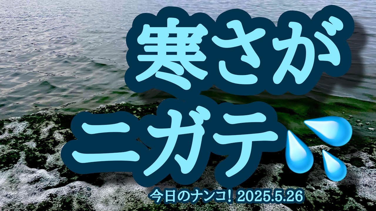 【今日のナンコ！2025.5.26】寒さがニガテ💦【琵琶湖バス釣り】