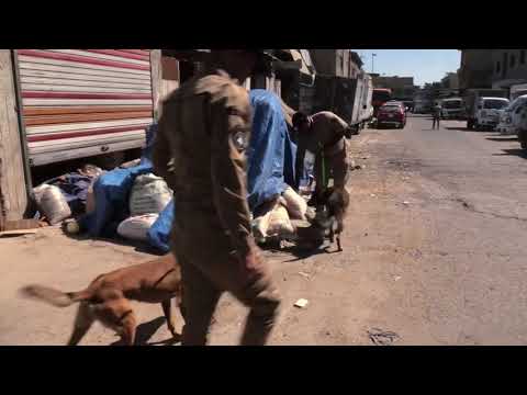 استمرارا لحملتها في تفتيش ومسح شوارع واحياء العاصمة مفارز شرطة بغداد تفتش منطقة جميلة التجارية