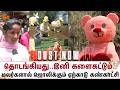 தொடங்கியது..இனி களைகட்டும்..மலர்களால் ஜொலிக்கும் Yercaud கண்காட்சி | Tourist | Enjoy | Salem