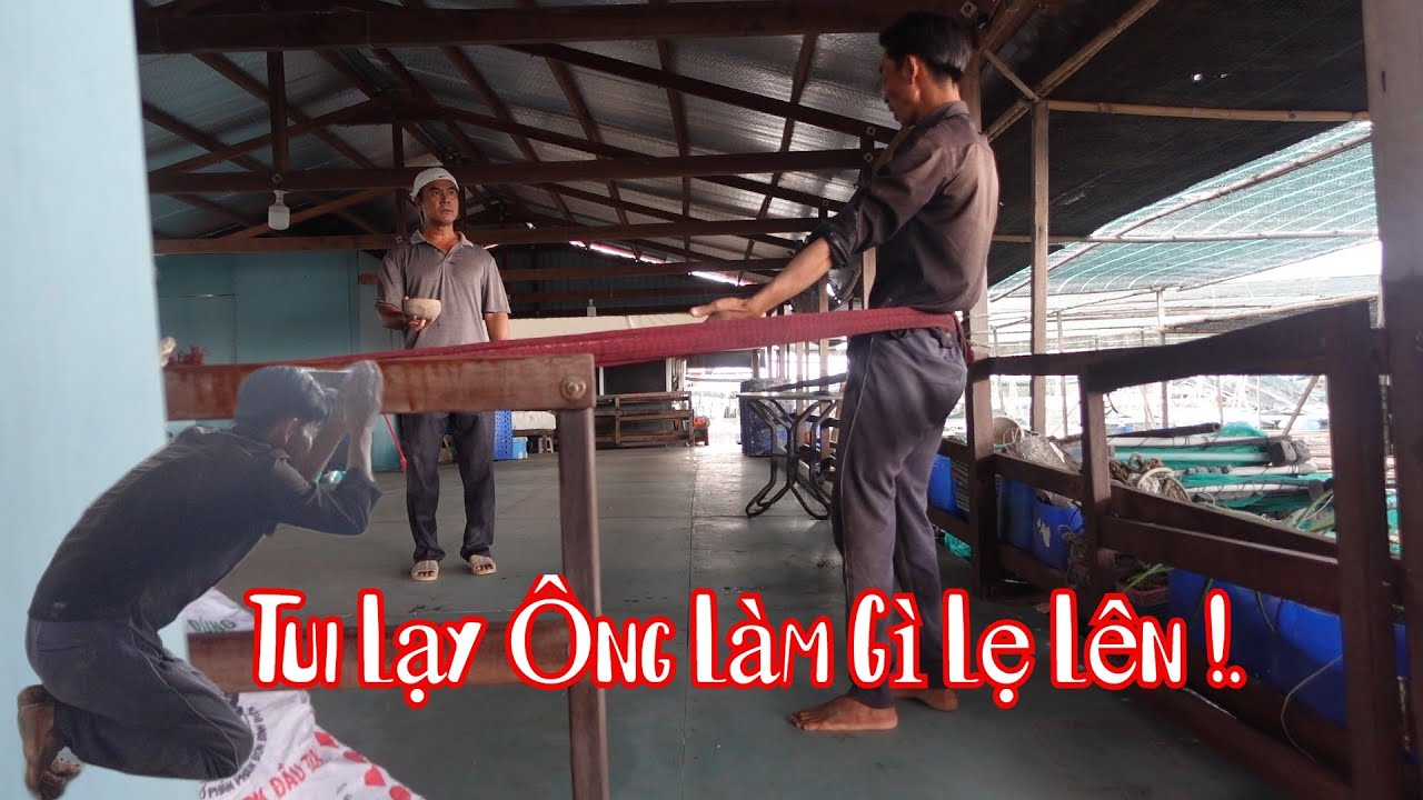 Bà 8 Phong Không Dám Ngủ Trưa Vì 10 Râu Troll Mà Như Không Troll