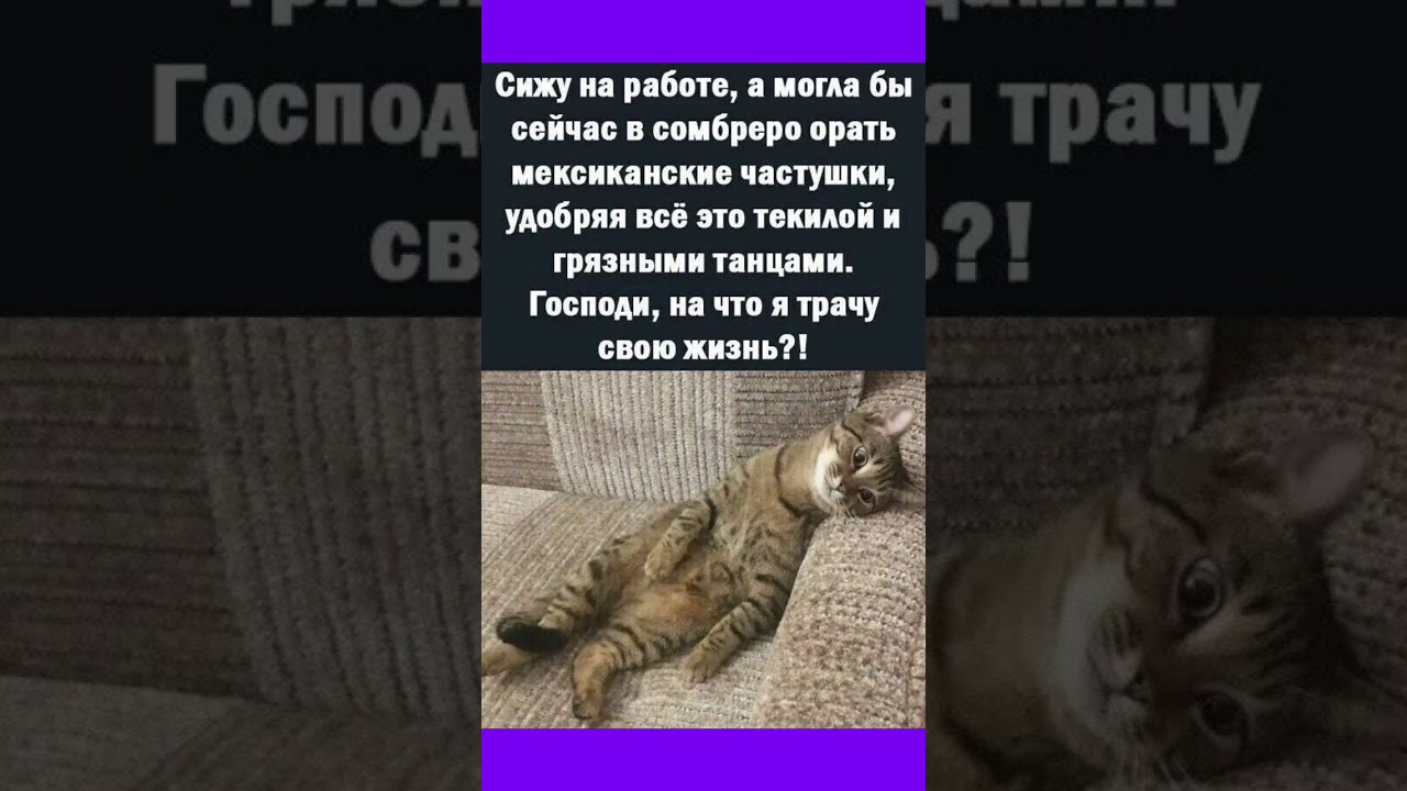 #смех