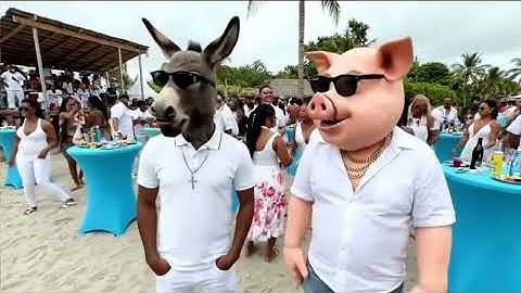 Haggy and Dankey at toast and brunch