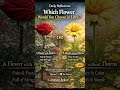 In the garden of love, different flowers bloom.#love #life #wisdom #philosophy #relationships