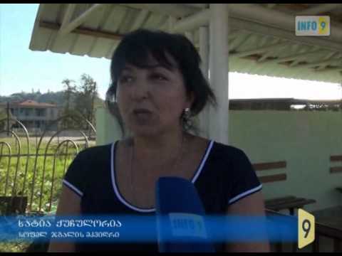 წალენჯიხა