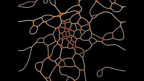 Simulation of Ant Path Dynamics III