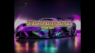 lagu joget ( COVER DI BAWAH BAWAH BATANG JAMBU )✔️✔️ 🔥 HAFAN_RMXR_FT_TRYTAMA _AUDIO 🔥
