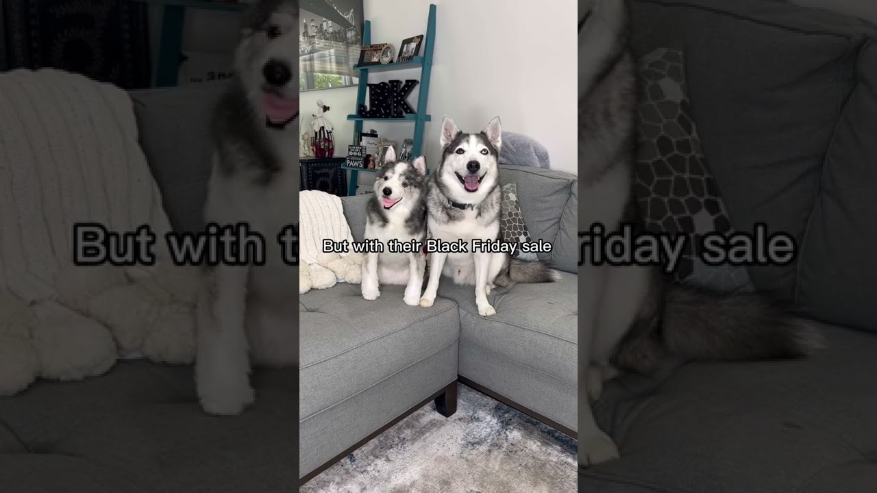 snuggle safe pet warmer