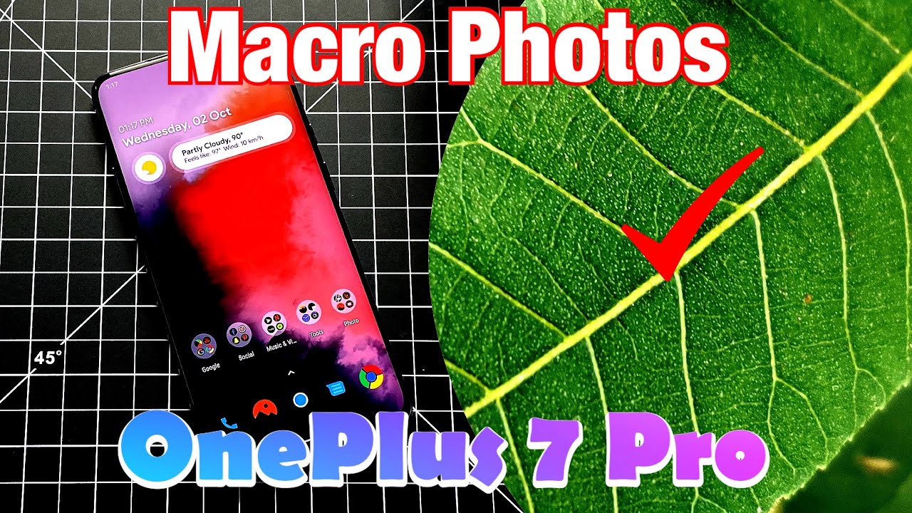 Macro Photos on the OnePlus 7 Pro!!!! YouTube